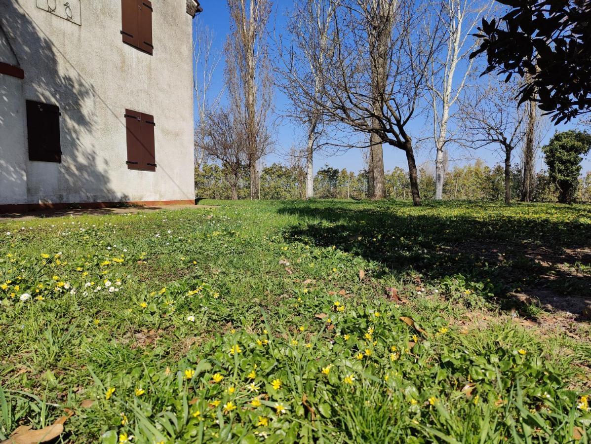 Ca Degli Aironi Villa Cittanova  ภายนอก รูปภาพ
