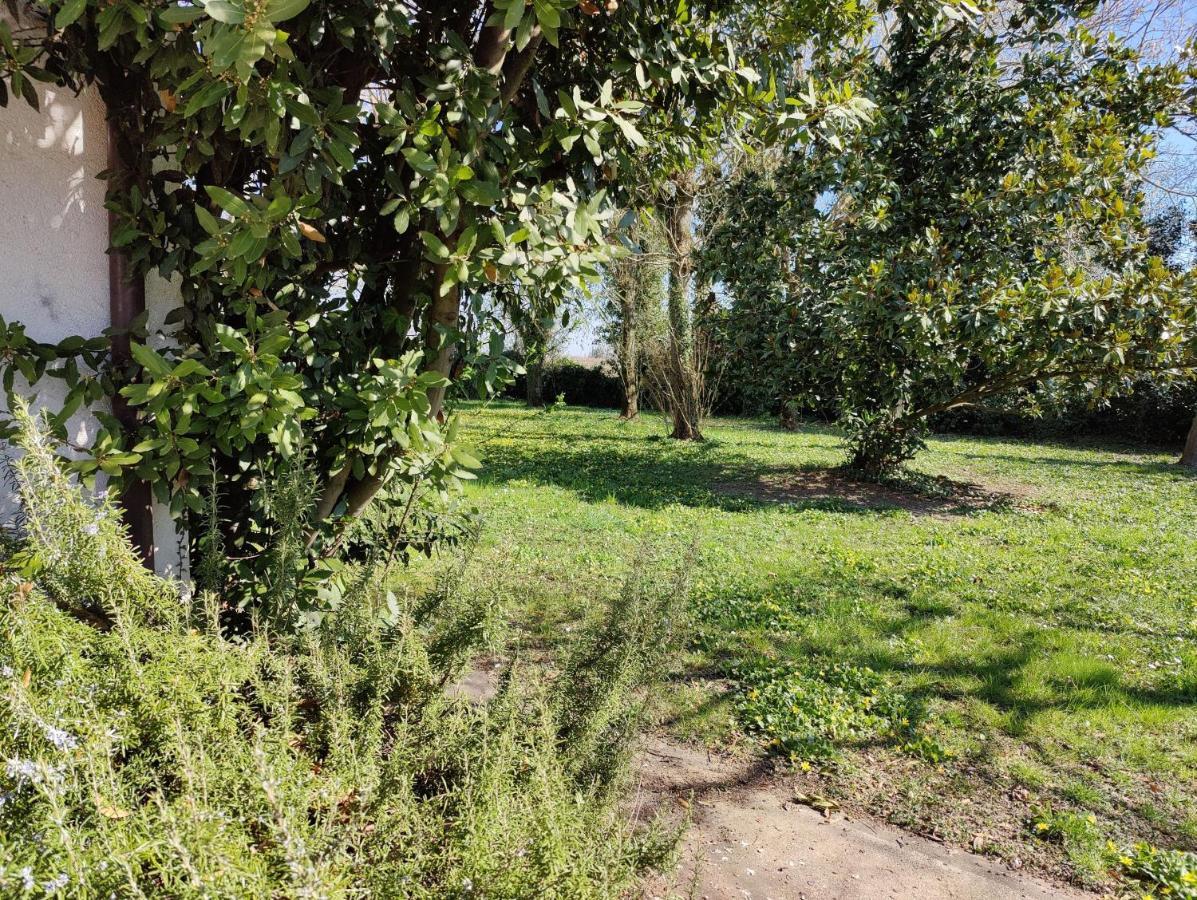 Ca Degli Aironi Villa Cittanova  ภายนอก รูปภาพ